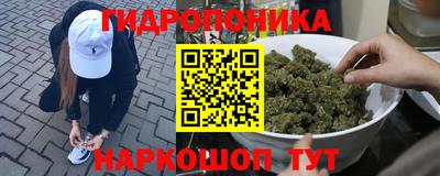 jwh Краснодар